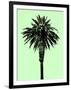 Palm Tree 1996 (Green)-Erik Asla-Framed Photographic Print