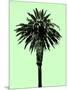 Palm Tree 1996 (Green)-Erik Asla-Mounted Photographic Print