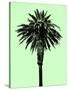 Palm Tree 1996 (Green)-Erik Asla-Stretched Canvas