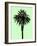 Palm Tree 1996 (Green)-Erik Asla-Framed Photographic Print