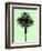 Palm Tree 1996 (Green)-Erik Asla-Framed Photographic Print