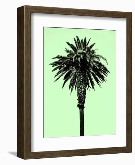 Palm Tree 1996 (Green)-Erik Asla-Framed Photographic Print