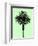 Palm Tree 1996 (Green)-Erik Asla-Framed Photographic Print