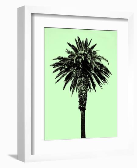 Palm Tree 1996 (Green)-Erik Asla-Framed Photographic Print