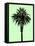 Palm Tree 1996 (Green)-Erik Asla-Framed Stretched Canvas