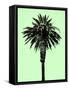 Palm Tree 1996 (Green)-Erik Asla-Framed Stretched Canvas