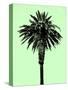 Palm Tree 1996 (Green)-Erik Asla-Stretched Canvas