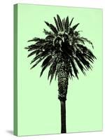 Palm Tree 1996 (Green)-Erik Asla-Stretched Canvas
