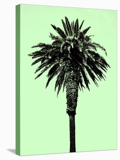 Palm Tree 1996 (Green)-Erik Asla-Stretched Canvas