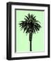 Palm Tree 1996 (Green)-Erik Asla-Framed Photographic Print