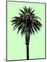 Palm Tree 1996 (Green)-Erik Asla-Mounted Photographic Print