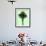 Palm Tree 1996 (Green)-Erik Asla-Framed Photographic Print displayed on a wall