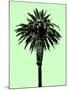 Palm Tree 1996 (Green)-Erik Asla-Mounted Photographic Print