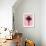 Palm Tree 1996 (Pink)-Erik Asla-Framed Photographic Print displayed on a wall