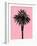 Palm Tree 1996 (Pink)-Erik Asla-Framed Photographic Print