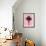 Palm Tree 1996 (Pink)-Erik Asla-Framed Photographic Print displayed on a wall