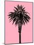 Palm Tree 1996 (Pink)-Erik Asla-Mounted Photographic Print