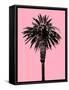 Palm Tree 1996 (Pink)-Erik Asla-Framed Stretched Canvas