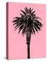 Palm Tree 1996 (Pink)-Erik Asla-Stretched Canvas