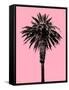 Palm Tree 1996 (Pink)-Erik Asla-Framed Stretched Canvas