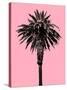 Palm Tree 1996 (Pink)-Erik Asla-Stretched Canvas
