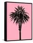 Palm Tree 1996 (Pink)-Erik Asla-Framed Stretched Canvas