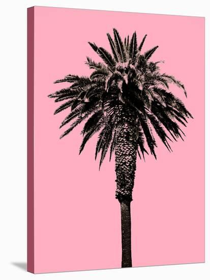 Palm Tree 1996 (Pink)-Erik Asla-Stretched Canvas