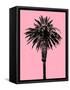 Palm Tree 1996 (Pink)-Erik Asla-Framed Stretched Canvas