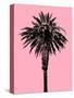 Palm Tree 1996 (Pink)-Erik Asla-Stretched Canvas