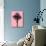 Palm Tree 1996 (Pink)-Erik Asla-Photographic Print displayed on a wall