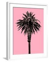 Palm Tree 1996 (Pink)-Erik Asla-Framed Photographic Print