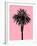 Palm Tree 1996 (Pink)-Erik Asla-Framed Photographic Print