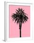 Palm Tree 1996 (Pink)-Erik Asla-Framed Photographic Print