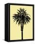 Palm Tree 1996 (Yellow)-Erik Asla-Framed Stretched Canvas