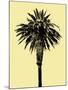 Palm Tree 1996 (Yellow)-Erik Asla-Mounted Photographic Print