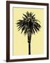 Palm Tree 1996 (Yellow)-Erik Asla-Framed Photographic Print