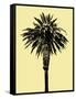 Palm Tree 1996 (Yellow)-Erik Asla-Framed Stretched Canvas