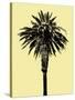 Palm Tree 1996 (Yellow)-Erik Asla-Stretched Canvas