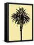 Palm Tree 1996 (Yellow)-Erik Asla-Framed Stretched Canvas