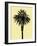 Palm Tree 1996 (Yellow)-Erik Asla-Framed Photographic Print