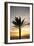 Palm Tree along Sea Promenade, Playa De Las Americas, Tenerife, Canary Islands, Spain-Guido Cozzi-Framed Photographic Print