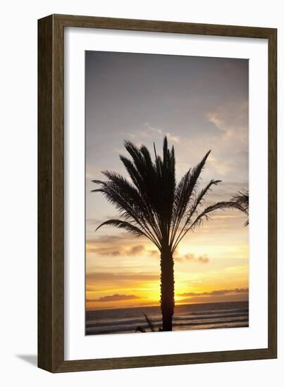 Palm Tree along Sea Promenade, Playa De Las Americas, Tenerife, Canary Islands, Spain-Guido Cozzi-Framed Photographic Print