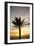 Palm Tree along Sea Promenade, Playa De Las Americas, Tenerife, Canary Islands, Spain-Guido Cozzi-Framed Photographic Print