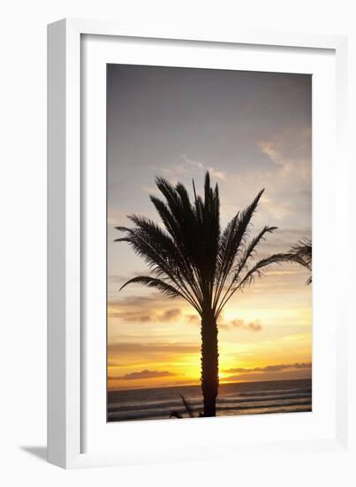 Palm Tree along Sea Promenade, Playa De Las Americas, Tenerife, Canary Islands, Spain-Guido Cozzi-Framed Photographic Print