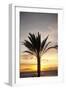 Palm Tree along Sea Promenade, Playa De Las Americas, Tenerife, Canary Islands, Spain-Guido Cozzi-Framed Photographic Print