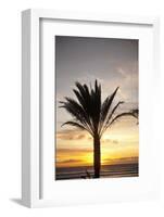 Palm Tree along Sea Promenade, Playa De Las Americas, Tenerife, Canary Islands, Spain-Guido Cozzi-Framed Photographic Print