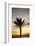 Palm Tree along Sea Promenade, Playa De Las Americas, Tenerife, Canary Islands, Spain-Guido Cozzi-Framed Photographic Print