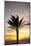 Palm Tree along Sea Promenade, Playa De Las Americas, Tenerife, Canary Islands, Spain-Guido Cozzi-Mounted Photographic Print