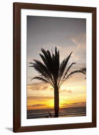 Palm Tree along Sea Promenade, Playa De Las Americas, Tenerife, Canary Islands, Spain-Guido Cozzi-Framed Photographic Print