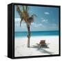 Palm Tree and Beach Chair-null-Framed Stretched Canvas